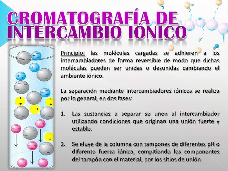 cromatografia de intercambio ionico